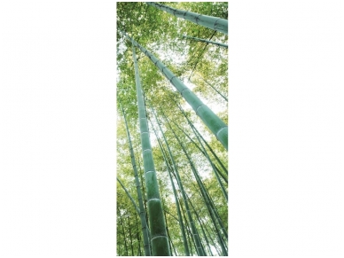 FOR WALL fototapetai 0150VET