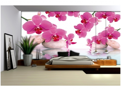 FOR WALL fototapetai 0151VE XXL 1