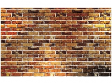 FOR WALL fototapetai 1534VE P4