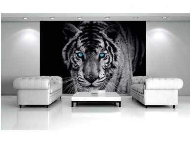 FOR WALL fototapetai 0153VE P8 1