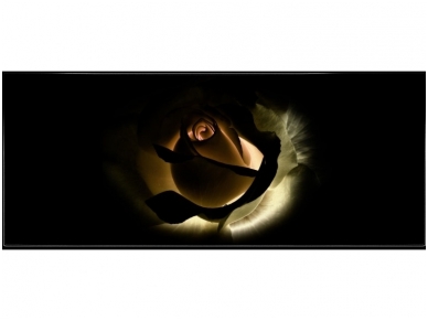 FOR WALL fototapetai 1552VEP