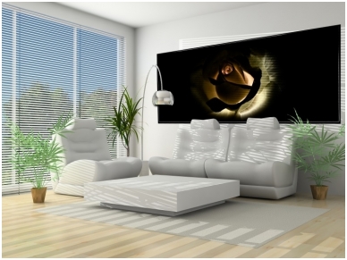 FOR WALL fototapetai 1552VEP 1