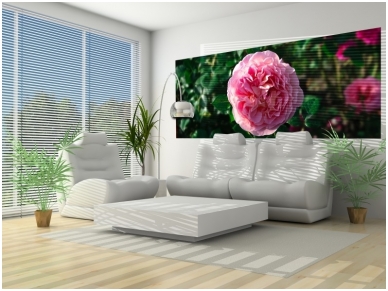 FOR WALL fototapetai 1554VEP 1