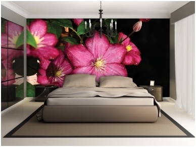 FOR WALL fototapetai 1556VE P4 1