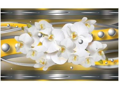 FOR WALL fototapetai 1559VE P4