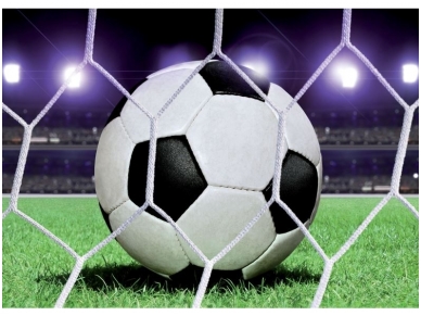 FOR WALL fototapetai 0155VE XXL FOR WALL fototapetai 0155VE XXL