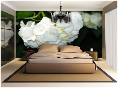 FOR WALL fototapetai 1564VE P4 1