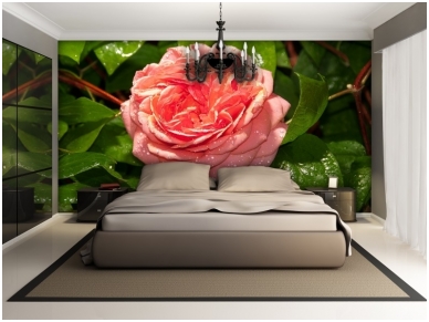 FOR WALL fototapetai 1568VE P4 1