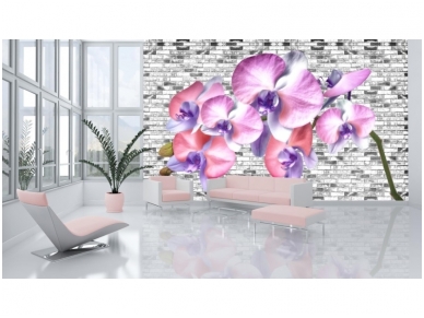 FOR WALL fototapetai 1604VE P4 2