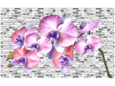 FOR WALL fototapetai 1604VE XL