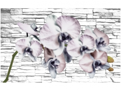 FOR WALL fototapetai 1605VE XXXL