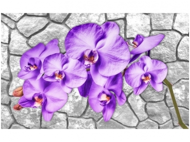 FOR WALL fototapetai 1606VE P4