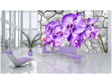 FOR WALL fototapetai 1606VE P4 2