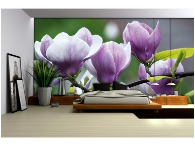 FOR WALL fototapetai 0160VE XL 2