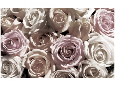 FOR WALL fototapetai 1625VE P4