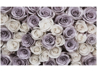 FOR WALL fototapetai 1626VE P4