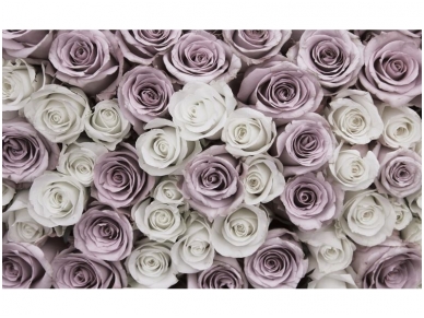 FOR WALL fototapetai 1627VE L