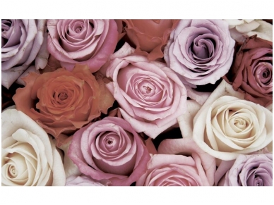FOR WALL fototapetai 1628VE XXXL