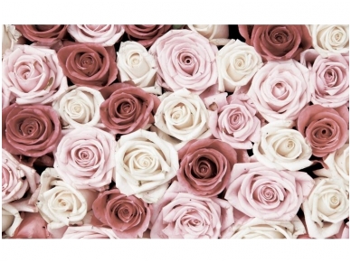 FOR WALL fototapetai 1629VE XXL