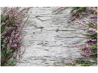 FOR WALL fototapetai 1637VE P4