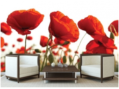 FOR WALL fototapetai 1639VE XXXL 1