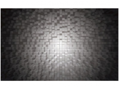 FOR WALL fototapetai 1646VE XXXL