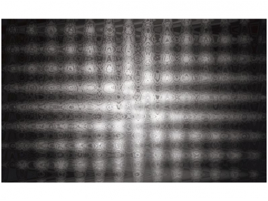 FOR WALL fototapetai 1650VE XXXL