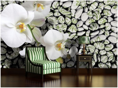 FOR WALL fototapetai 1651VE M 1