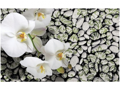 FOR WALL fototapetai 1651VE XXXL