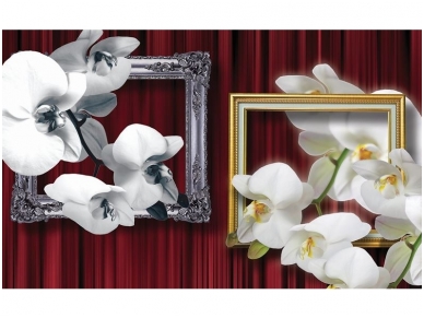 FOR WALL fototapetai 1652VE M