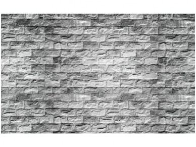 FOR WALL fototapetai 1659VE XXXL FOR WALL fototapetai 1659VE XXXL