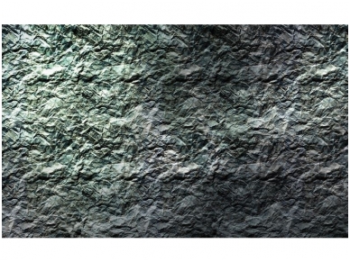 FOR WALL fototapetai 1666VE XXXL