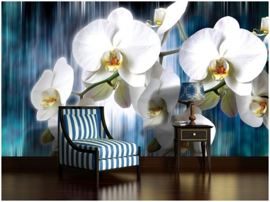 FOR WALL fototapetai 1668VE XXXL 1