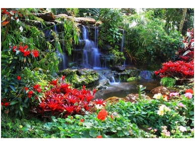 FOR WALL fototapetai 0166VE XXL