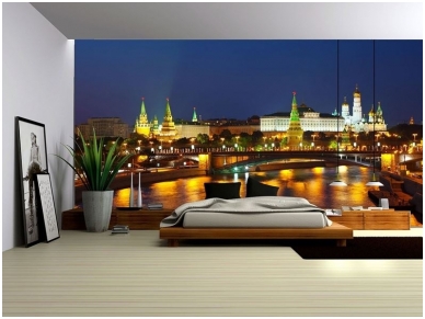 FOR WALL fototapetai 0167VE XL 1