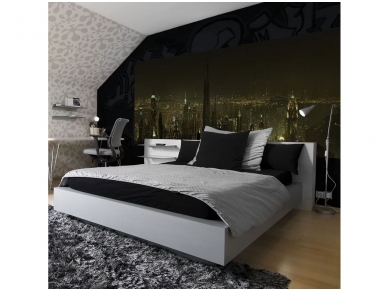 FOR WALL fototapetai 1697VEP 1