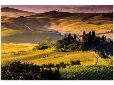 FOR WALL fototapetai 0169VE P4 FOR WALL fototapetai 0169VE P4