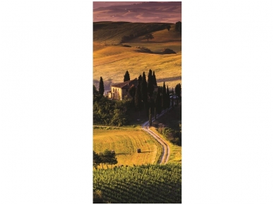 FOR WALL fototapetai 0169VET