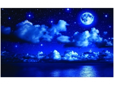 FOR WALL fototapetai 1731VE P4 FOR WALL fototapetai 1731VE P4