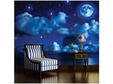 FOR WALL fototapetai 1731VE XXXL 1