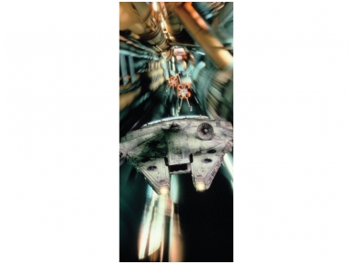 FOR WALL fototapetai 1745VET