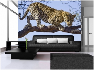 FOR WALL fototapetai 0176VE XL 1