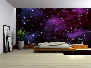 FOR WALL fototapetai 0177VE XL 1