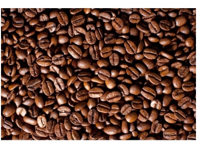 FOR WALL fototapetai 0182VE XXL