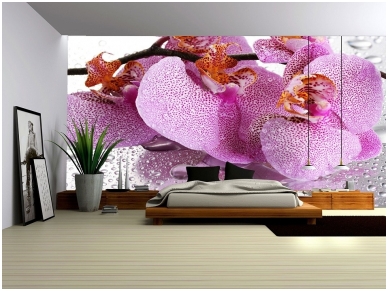 FOR WALL fototapetai 0184VE L 1