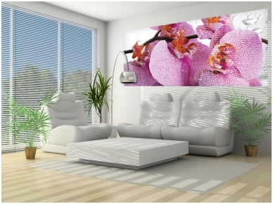 FOR WALL fototapetai 0184VEP 1 FOR WALL fototapetai 0184VEP 1