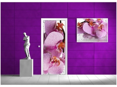 FOR WALL fototapetai 0184VET 1