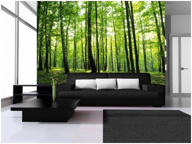 FOR WALL fototapetai 0186VE P4 1