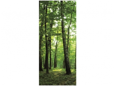 FOR WALL fototapetai 0186VET