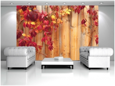 FOR WALL fototapetai 0189VE L 1
